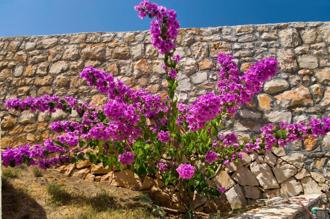 Holiday Home Duje Trogir Kültér fotó