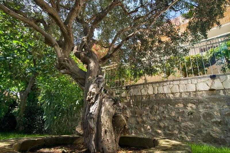 Holiday Home Duje Trogir Kültér fotó